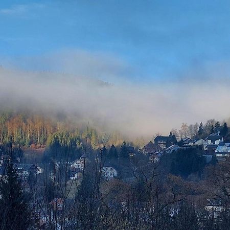 Haus-Herzogenhorn-Sunrise Todtmoos Dış mekan fotoğraf