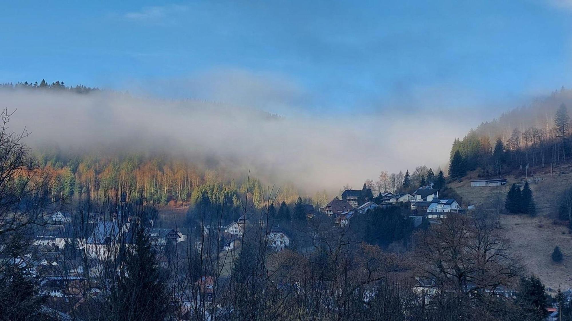 Haus-Herzogenhorn-Sunrise Todtmoos Dış mekan fotoğraf